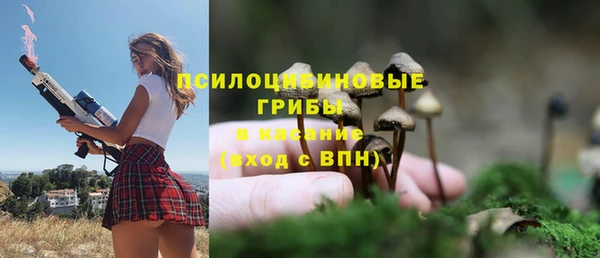 гидропоника Няндома