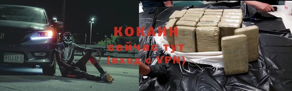 гидропоника Няндома