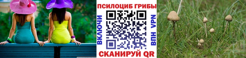 гидра как зайти  Надым  Псилоцибиновые грибы MAGIC MUSHROOMS  купить наркоту 