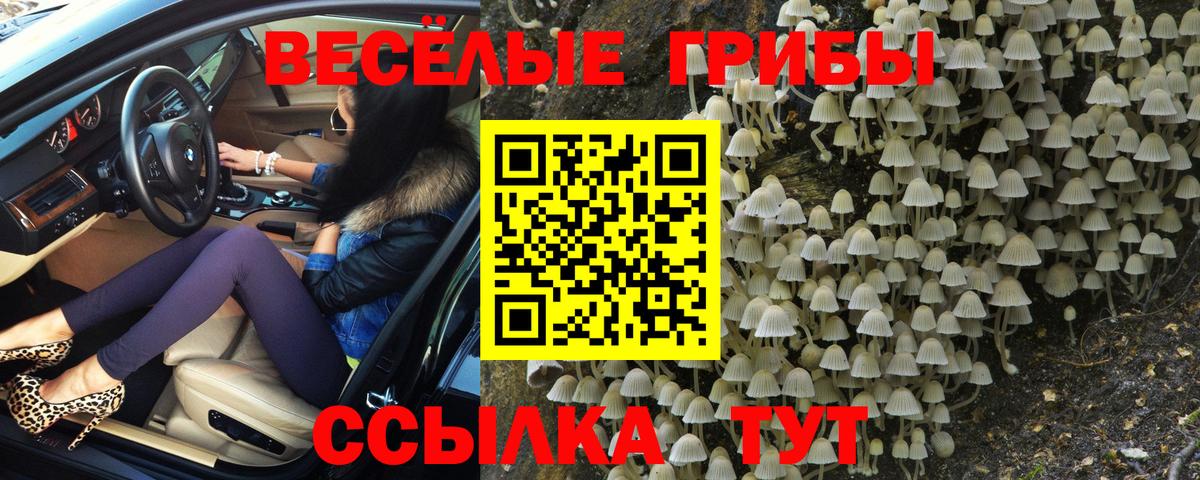 Галлюциногенные грибы MAGIC MUSHROOMS Надым